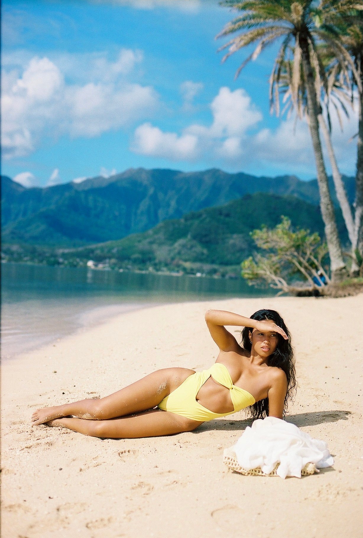 Introducing our Tropics Collection - Inspired by the Beauty of the Tropics!
